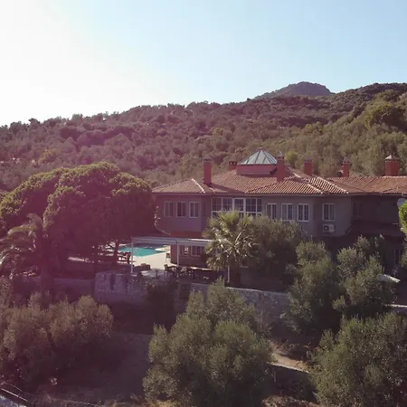 Idaolea Assos Ayvacik