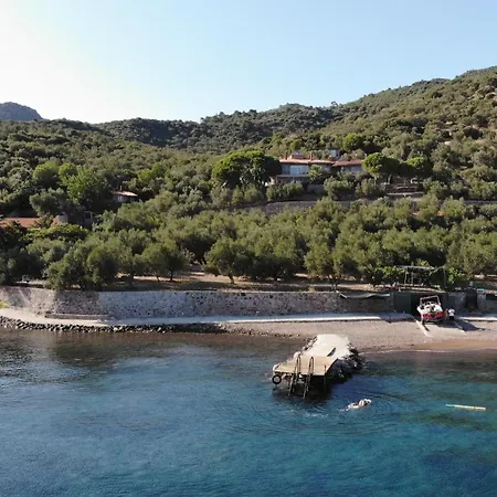 Idaolea Assos *